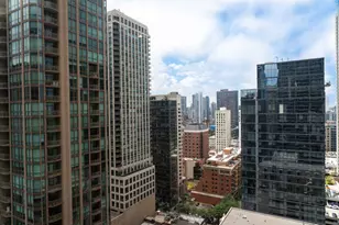 30 E Huron St, Chicago, IL 60611 - Photo 10