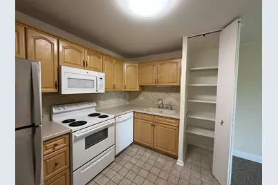 430 Walnut Creek Lane #2407, Lisle, IL 60532 - Photo 2