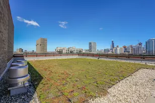 320 E 21st St, Chicago, IL 60616 - Photo 24