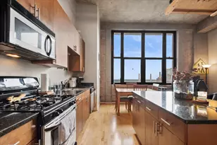 320 E 21st St, Chicago, IL 60616 - Photo 4