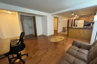 1013 N Winchester Ave, Chicago, IL 60622 - Photo 2