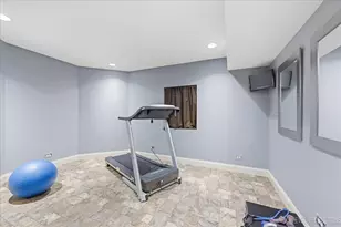 729 W Thornwood Dr, South Elgin, IL 60177 - Photo 26