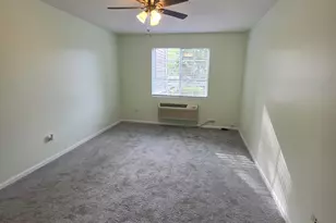 101 Silverstone Dr, Carpentersville, IL 60110 - Photo 16
