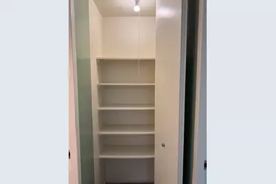 2605 S Indiana Avenue #708, Chicago, IL 60616 - Photo 16