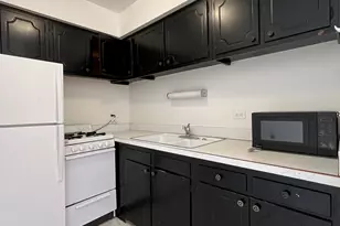 516 W Melrose St, Chicago, IL 60657 - Photo 2