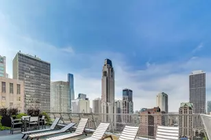 1000 N Lake Shore Dr, Chicago, IL 60611 - Photo 22