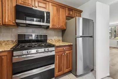 253 E Delaware Place #7H, Chicago, IL 60611 - Photo 10