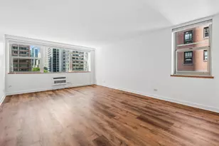 253 E Delaware Pl, Chicago, IL 60611 - Photo 2