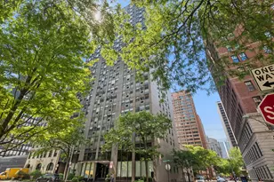 253 E Delaware Pl, Chicago, IL 60611 - Photo 1