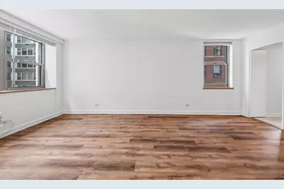 253 E Delaware Place #7H, Chicago, IL 60611 - Photo 8