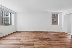 253 E Delaware Pl, Chicago, IL 60611 - Photo 8