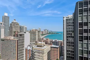 253 E Delaware Pl, Chicago, IL 60611 - Photo 20