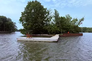 0000 Kankakee River Island, Wilmington, IL 60481 - Photo 38