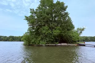 0000 Kankakee River Island, Wilmington, IL 60481 - Photo 4