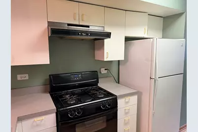 727 S Ashland Avenue #C, Chicago, IL 60607 - Photo 4
