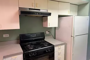727 S Ashland Ave, Chicago, IL 60607 - Photo 4