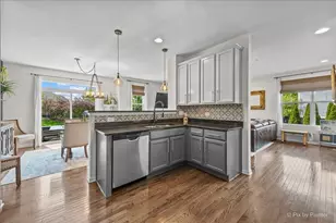 16207 W Switch Grass Rd, Lockport, IL 60441 - Photo 14