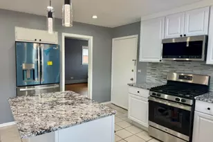 8523 W Winnemac Ave, Chicago, IL 60656 - Photo 12