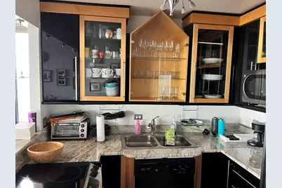 3660 N Lake Shore Drive #4007, Chicago, IL 60613 - Photo 4