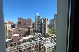 1 E Scott St, Chicago, IL 60610 - Photo 16