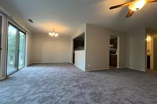 355 Lambert Dr, Schaumburg, IL 60193 - Photo 4