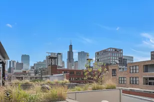 1000 W Washington Blvd, Chicago, IL 60607 - Photo 28