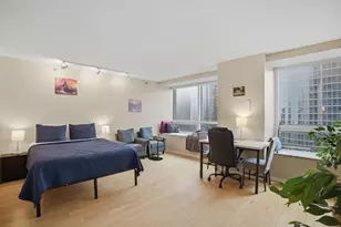 512 N McClurg Ct, Chicago, IL 60611 - Photo 6