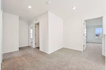 2915 Savana Drive, Joliet, IL 60435 - Photo 18