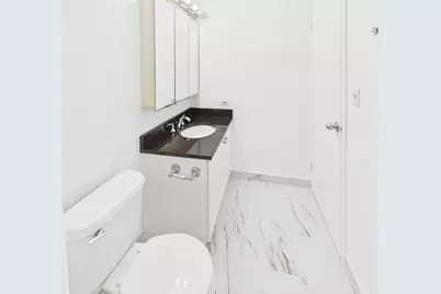 10 E Ontario Street #4207, Chicago, IL 60611 - Photo 20