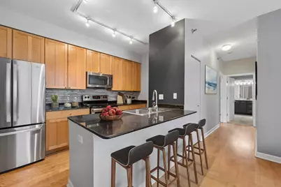 421 W Huron Street #1309, Chicago, IL 60654 - Photo 4