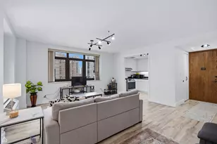 40 E Delaware Pl, Chicago, IL 60611 - Photo 4