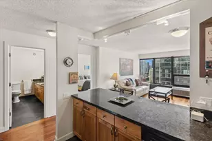 30 E Huron St, Chicago, IL 60611 - Photo 6
