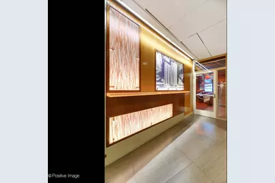 400 E Randolph Street #1518, Chicago, IL 60601 - Photo 28