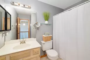104 Thistle Ct, Schaumburg, IL 60194 - Photo 46