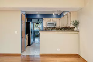 104 Thistle Ct, Schaumburg, IL 60194 - Photo 20