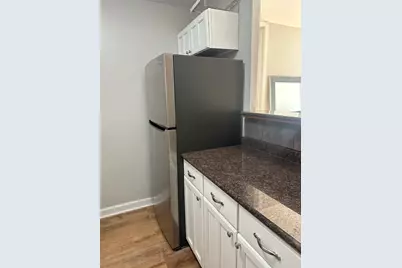100 E Walton Street #14F, Chicago, IL 60611 - Photo 4