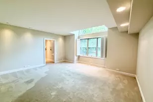 11N071 Johnstown Rd, Elgin, IL 60124 - Photo 44