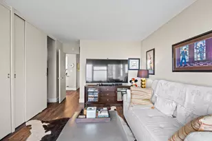 1000 N Lake Shore Dr, Chicago, IL 60611 - Photo 16