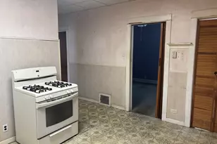 1028 Thomas Ave, Forest Park, IL 60130 - Photo 16