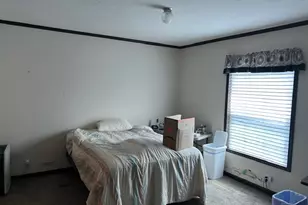 22439 S Remington Dr, Channahon, IL 60410 - Photo 8