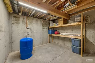 703 W Sycamore, Millington, IL 60537 - Photo 44