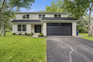 421 Russet Ave, Naperville, IL 60565 - Photo 1