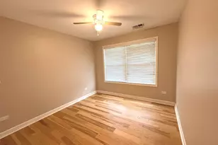 258 Odlum Ct, Schaumburg, IL 60194 - Photo 10
