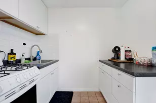 1555 N Dearborn Pkwy, Chicago, IL 60610 - Photo 10