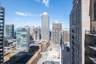 10 E Delaware Pl, Chicago, IL 60611 - Photo 26