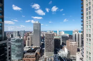 10 E Delaware Pl, Chicago, IL 60611 - Photo 32