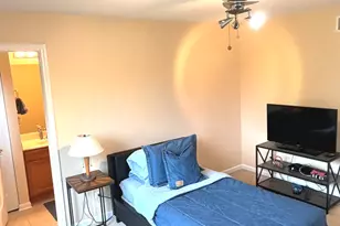 24839 Thornberry Dr, Plainfield, IL 60544 - Photo 36