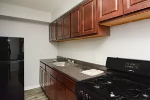 1040 W Hollywood Ave, Chicago, IL 60660 - Photo 4