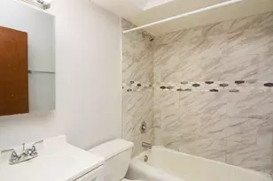 1040 W Hollywood Ave, Chicago, IL 60660 - Photo 20