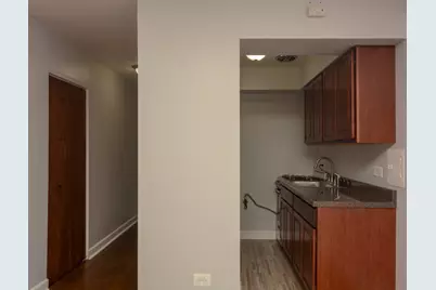 1040 W Hollywood Avenue #320, Chicago, IL 60660 - Photo 4